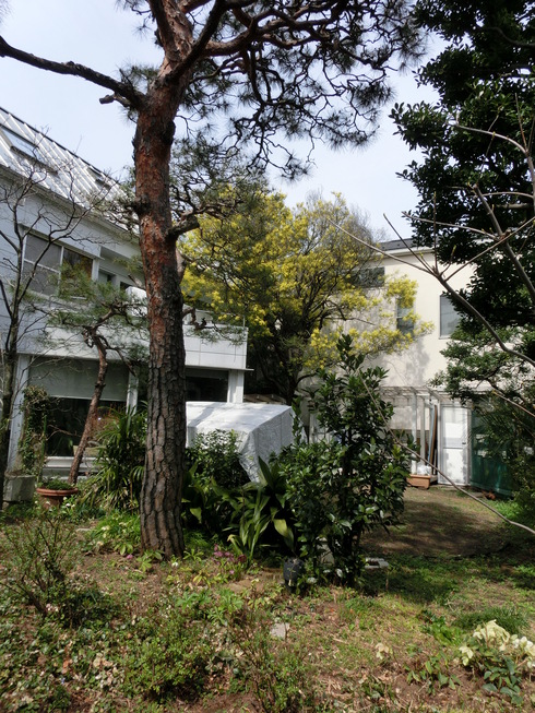 e0159192_1542397.jpg