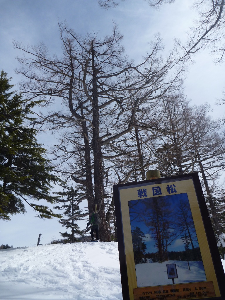 f0221693_10176.jpg