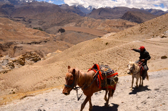 Upper Mustang 11_e0111396_0423715.jpg