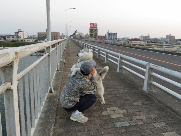はなちゃんの日常 (*^_^*)_c0049299_2248405.jpg