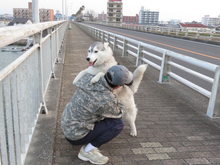 はなちゃんの日常 (*^_^*)_c0049299_22485226.jpg