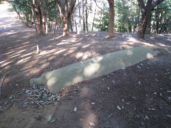 d0287413_8572176.jpg