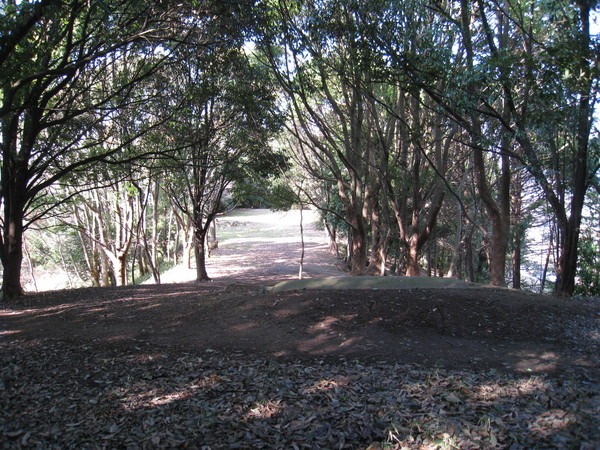 d0287413_8575513.jpg