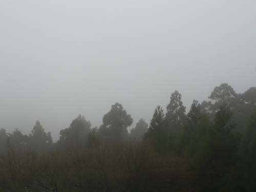 a0238019_20122879.jpg