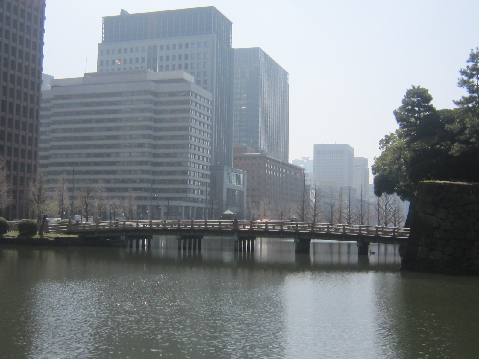 d0162225_0219.jpg