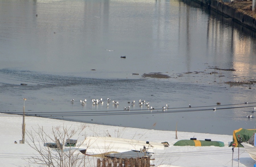 f0329325_8524274.jpg