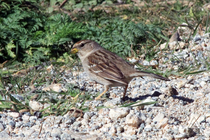 c0211532_2102749.jpg