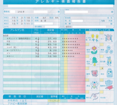 7度目のアレルギー検査結果_a0267942_0141498.jpg
