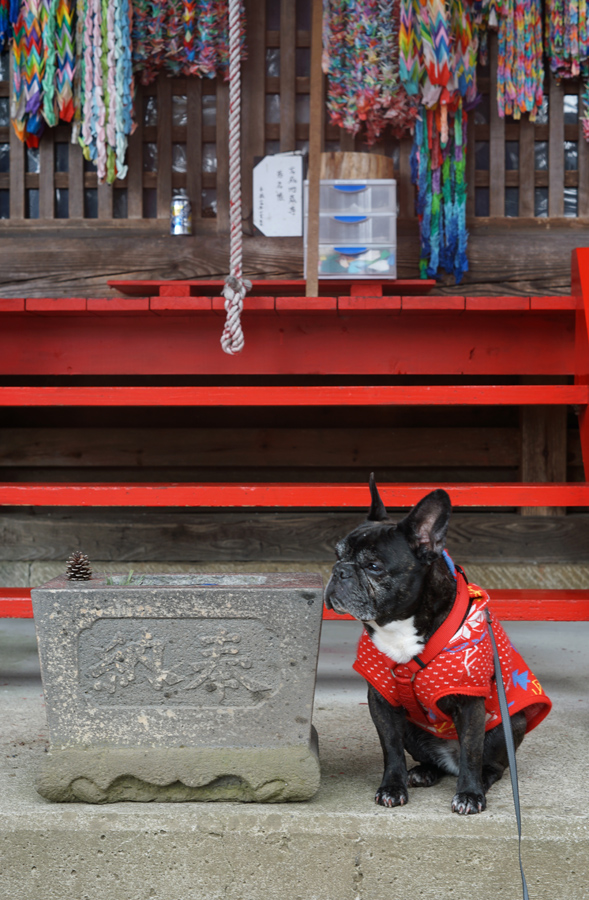 【Nagano Snapshot】 塩尻・洗馬宿　（α7Ⅱ習作2）_c0035245_1554884.jpg