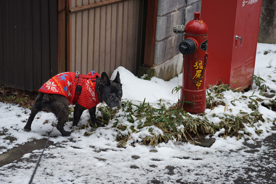 【Nagano Snapshot】 塩尻・洗馬宿　（α7Ⅱ習作2）_c0035245_255091.jpg