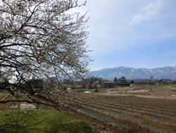 七賢蔵開きウォーク2015_f0019247_2323645.jpg