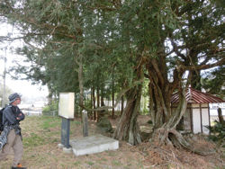七賢蔵開きウォーク2015_f0019247_237311.jpg