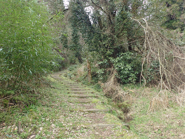 石見銀山山吹城跡要害山①_f0214649_5525235.jpg