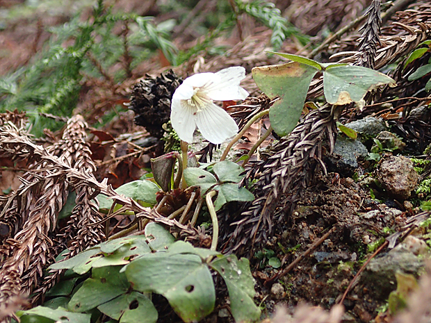 f0214649_6181916.jpg