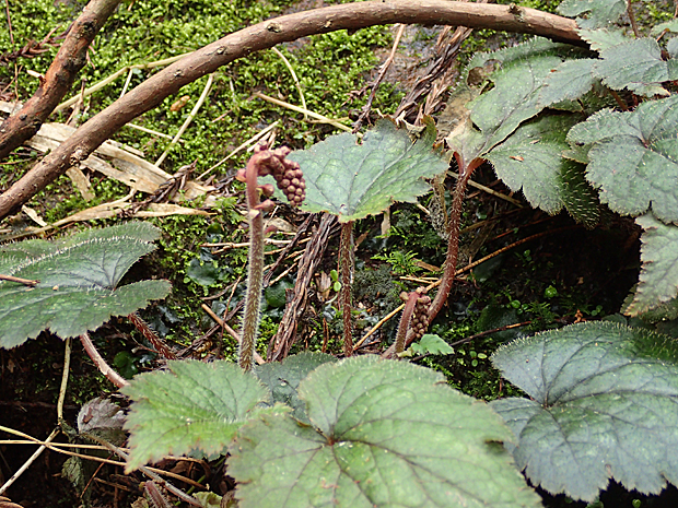 f0214649_6184923.jpg