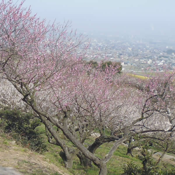 f0190950_90015.jpg