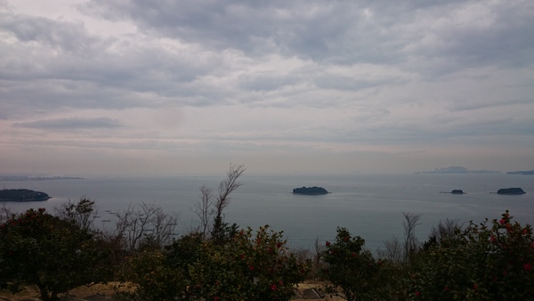 b0299252_07445.jpg