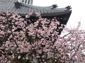 3月7日 水資源・環境学会 冬季研究会_f0197754_2030251.jpg