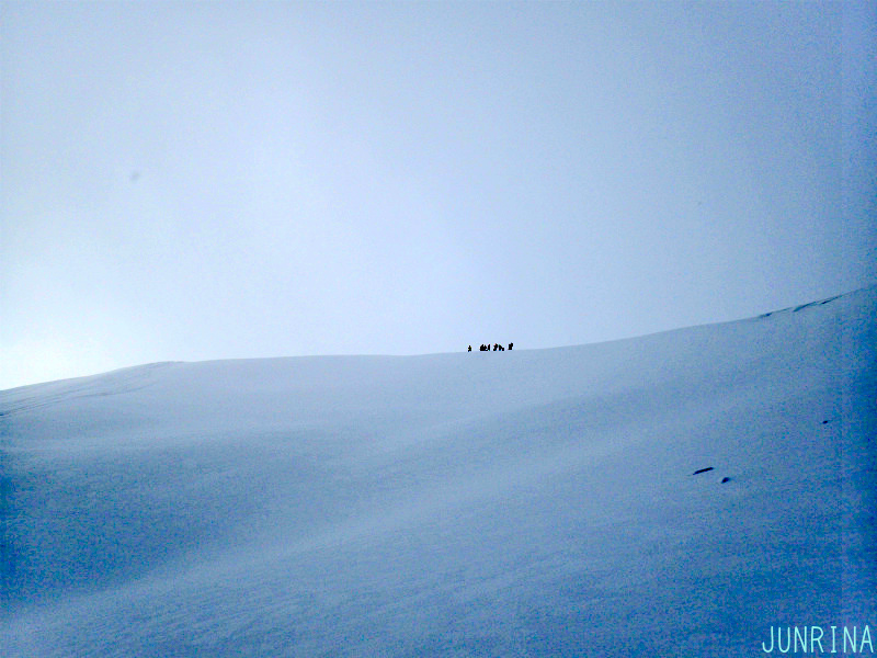d0110562_13192450.jpg