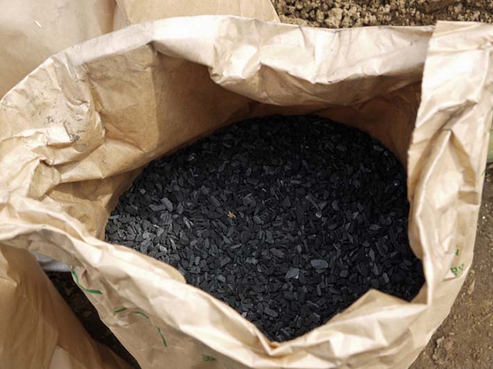 保存したサトイモ、種芋に使用可能だったのは２割：３・１８_c0014967_1884795.jpg