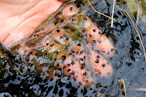 e0046474_20511031.jpg