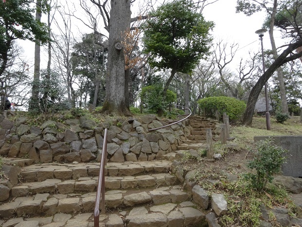 ぶらり世田谷豪徳寺_d0183387_13471987.jpg