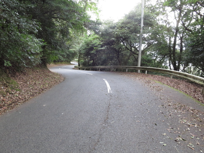 b0339488_21295751.jpg
