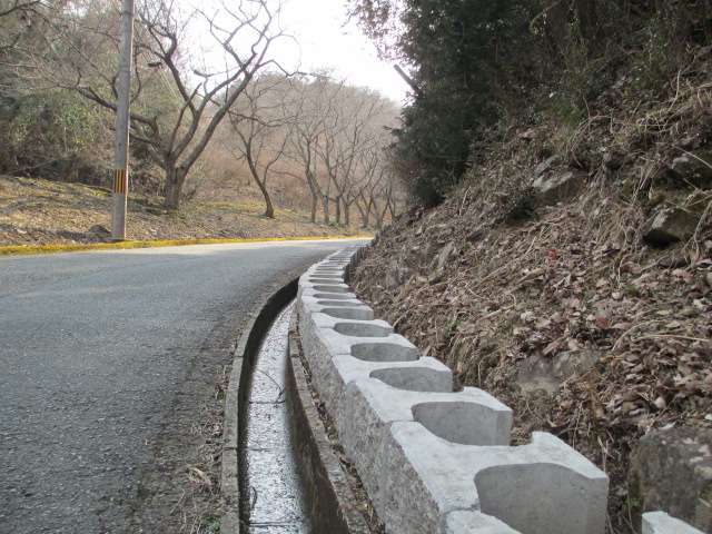 a0206695_10271931.jpg