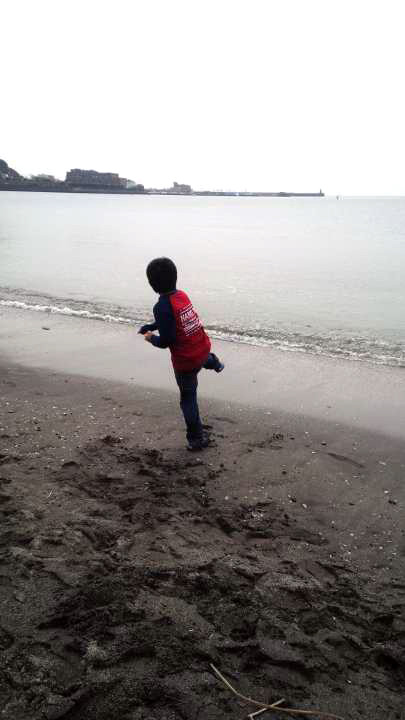 葉山コロッケのお弁当_b0171098_773153.jpg