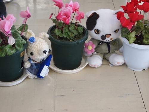 ぬいぐるみのお仕事 葉山町の明照幼稚園の卒園式に行ってきたよ ２ 今日も明日もぬいぐるみ日和