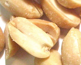 a0088007_04484799.png