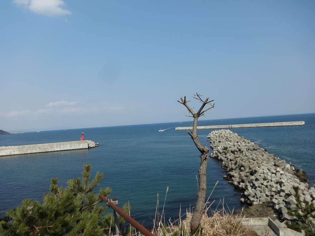 甥と初対面 1 【2015/3/16】 バスで八戸駅着、六ヶ所で祖母の墓参り～三沢、五戸、八戸_f0112015_1751053.jpg