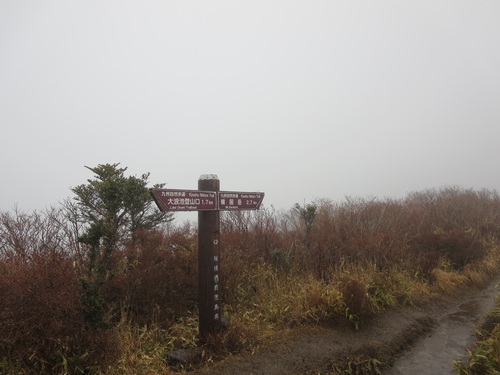 f0149422_0985.jpg