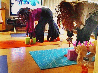 f0326925_00102286.gif