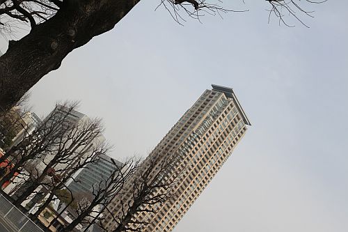 e0108126_8425096.jpg