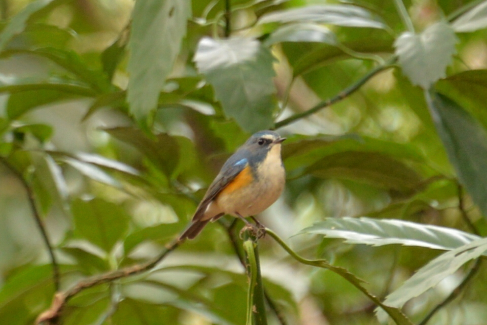 e0335926_22344134.jpg