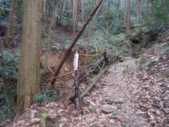 f0111128_10512746.jpg