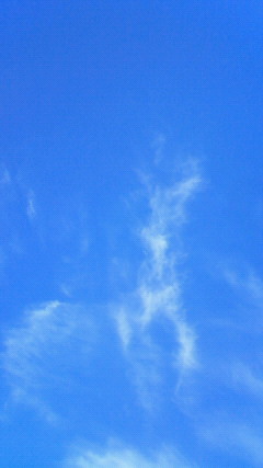 b0279129_20131914.jpg
