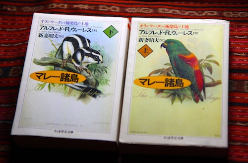 読書メモ：アルフレッド・R. ウォーレス『マレー諸島　オランウータンと極楽鳥の土地』（再読） -1-_d0010432_21163977.jpg