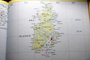 読書メモ:アルフレッド・R. ウォーレス『マレー諸島 オランウータンと極楽鳥の土地』(再読) -1-_d0010432_211748100.jpg