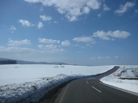 雪解け間近の美瑛のパッチワークの丘 Machiのきままな生活記録