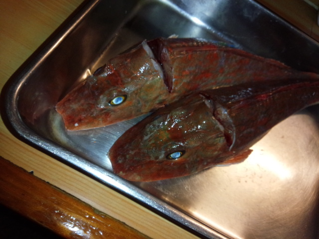 今日のおすすめ ホウボウ刺しと マダコ ギャラリーとお料理とお酒 はくせん ブログ