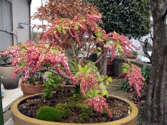 c0147952_012444.jpg