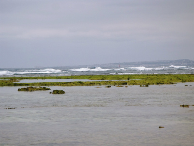 昼の海の散策②_c0180460_1629748.jpg