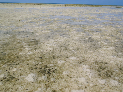 c0180460_1637177.jpg