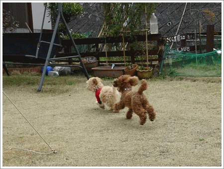 b0175688_22565439.gif