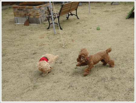b0175688_22565816.gif