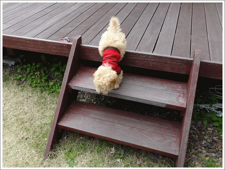 b0175688_22571155.gif