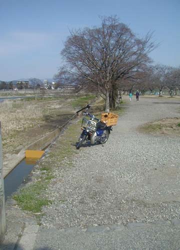 ○嵐山駅前の変化、その３５７（自転車道路） : ゆうゆうゆうぜん歩録 