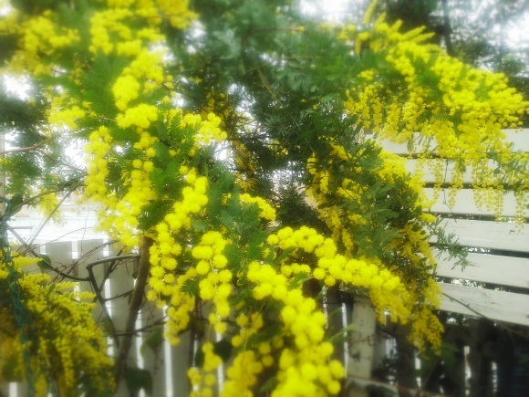 f0237399_17355045.jpg